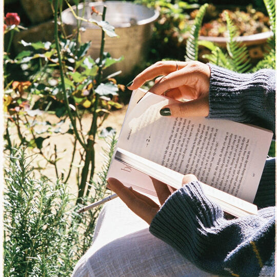 picture taken from Pexels.com, a free stock image site